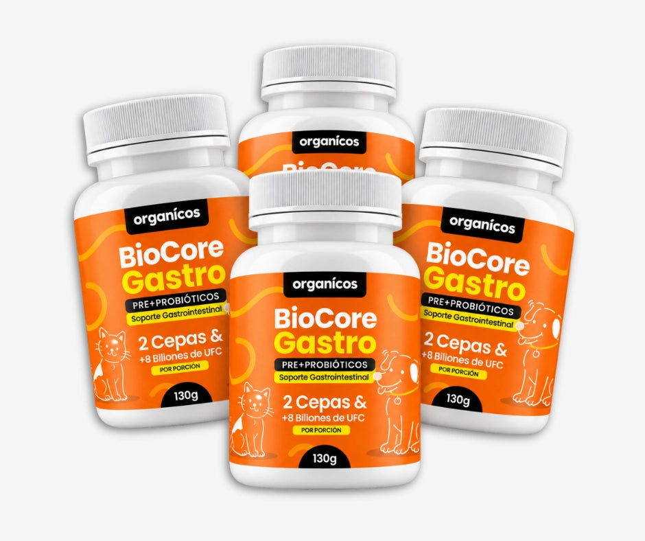 PAGA 2 LLEVA 4 PROBIÓTICOS BIOCORE GASTRO